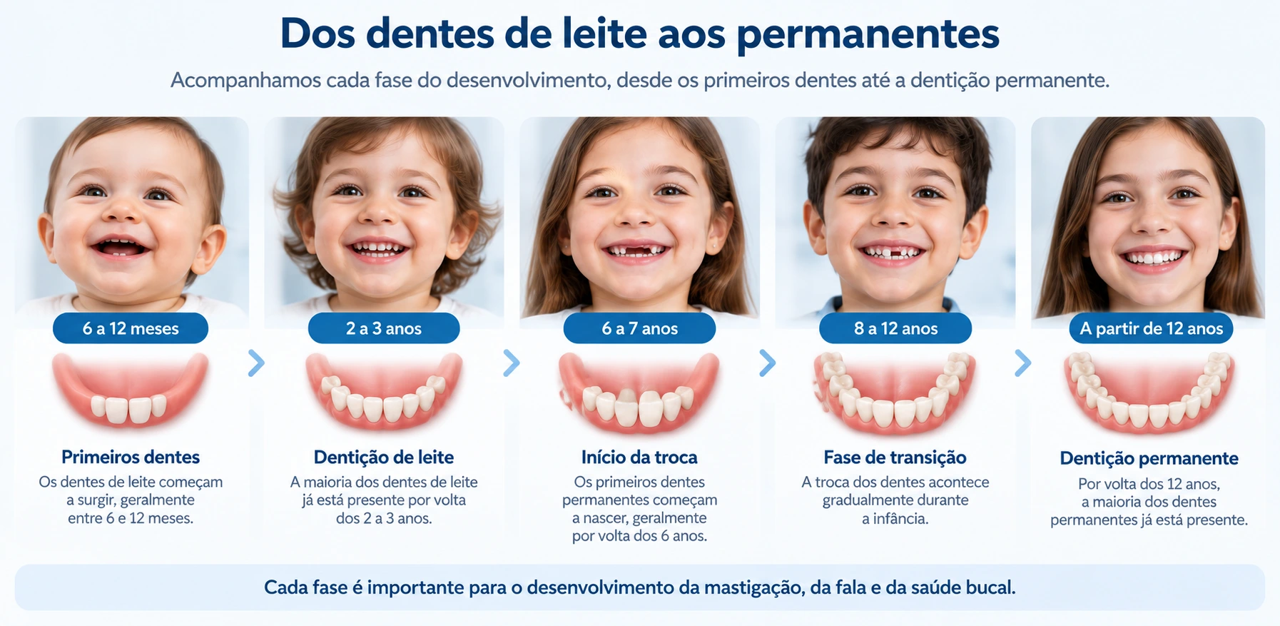 Infográfico sobre a transição dos dentes de leite para os dentes permanentes